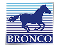Bronco Models Bronco Models