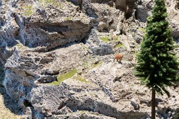 Fels- und Gelndeschaum · FAL 171800 ·  Faller