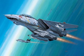 F-14D Super Tomcat &middot; RE 04049 &middot;  Revell &middot; 1:144