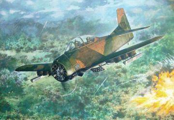 North American T-28D Trojan · RD 450 ·  Roden · 1:48