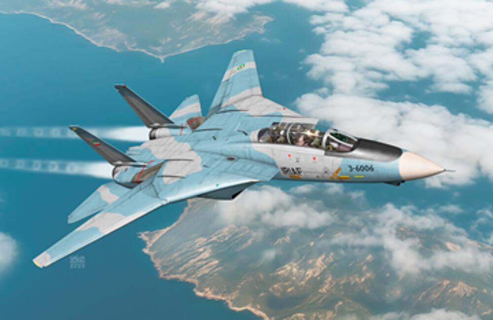 F-14A IRIAF