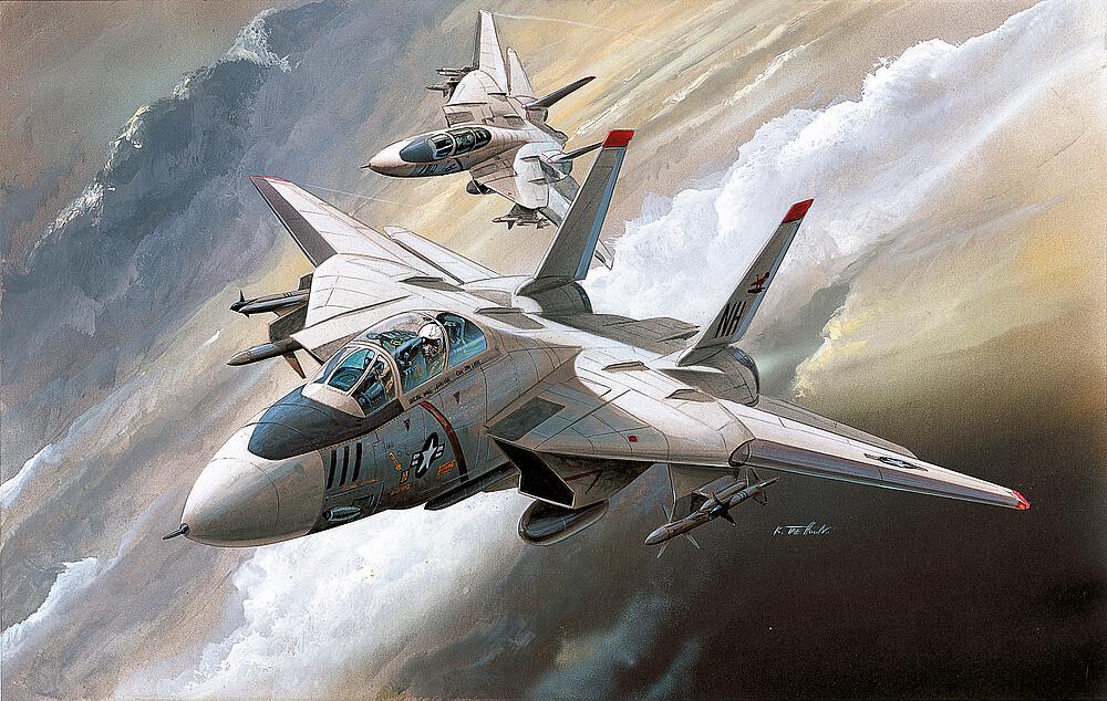 PL 608 günstig Kaufen-F-14 Tomcat. F-14 Tomcat <![CDATA[Academy Plastic Model / 12608 / 1:144]]>. 