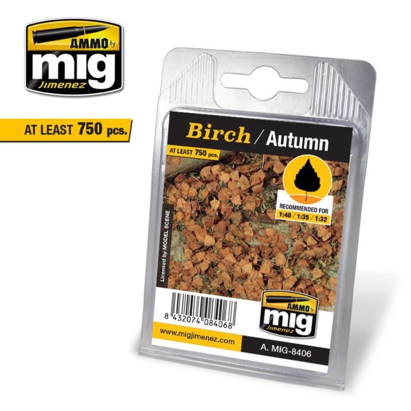 8432074084068 - Birch - Autumn 8432074084068 - Birch - Autumn
