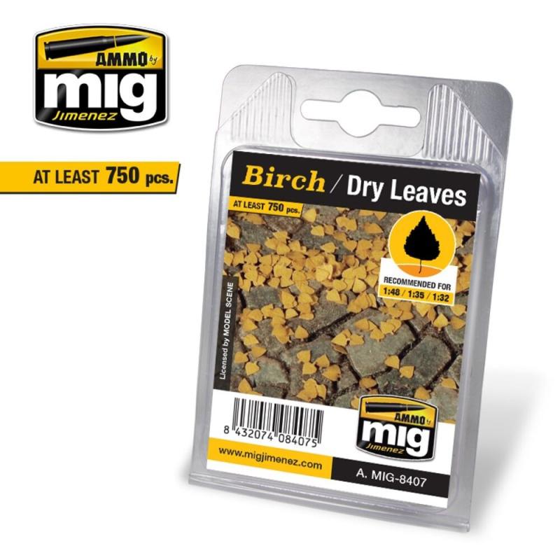 8432074084075 - Birch - Dry Leaves