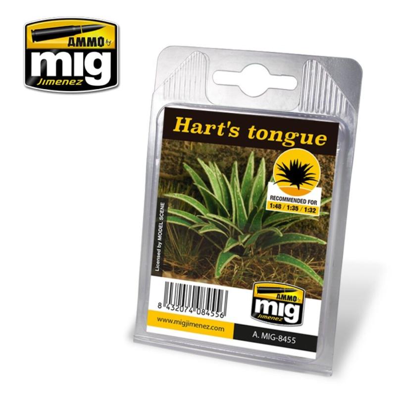 8432074084556 - Hart´s Tongue 8432074084556 - Hart´s Tongue
