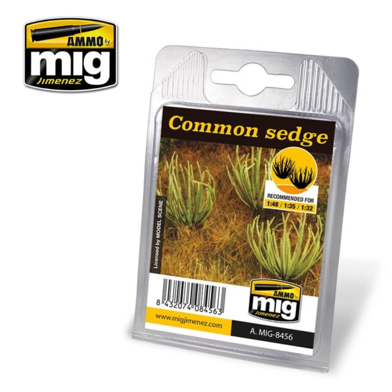 DG M günstig Kaufen-Common Sedge. Common Sedge <![CDATA[AMMO by MIG Jimenez / A.MIG-8456]]>. 