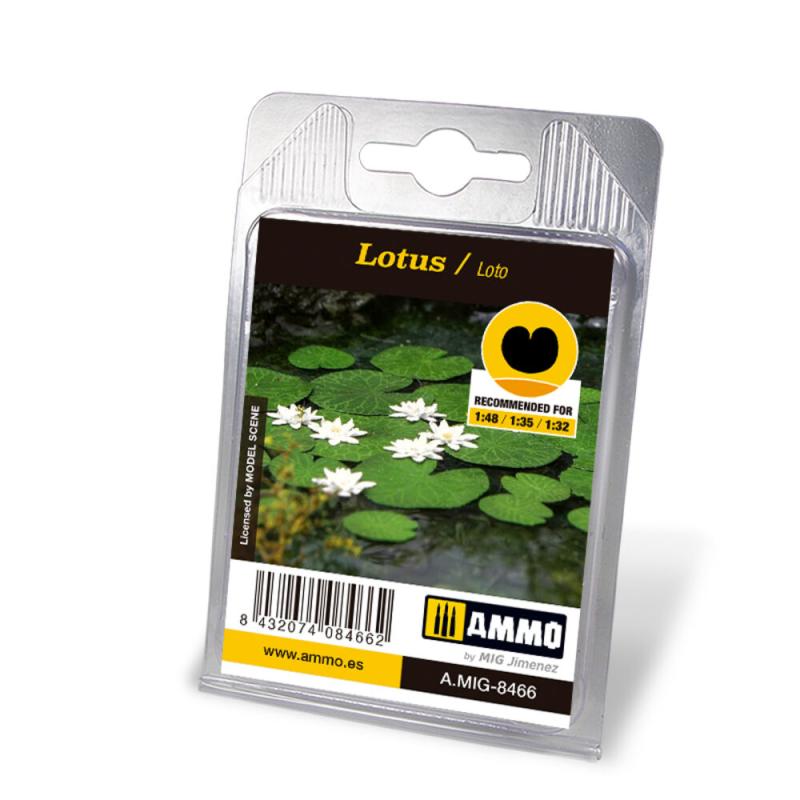 8432074084662 - Lotus 8432074084662 - Lotus