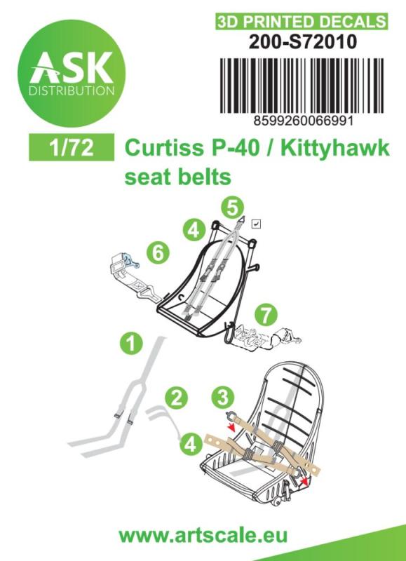 8599260066991 - P-40 - 3D printed decals
