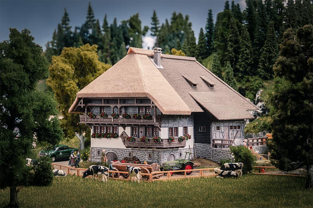 Jubiläumsmodell – Schwarzwaldhof mit 2 Figuren