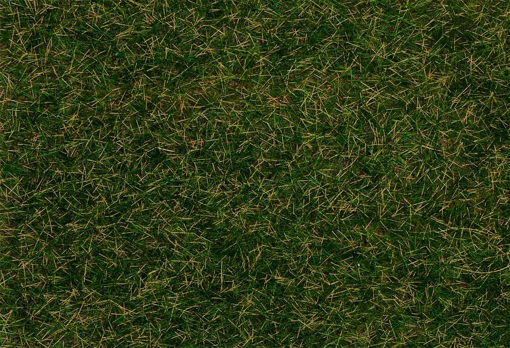 4104090702335 - Streufasern Wildgras dunkelgrün 4 mm (80 g) 4104090702335 - Streufasern Wildgras dunkelgrün 4 mm (80 g)