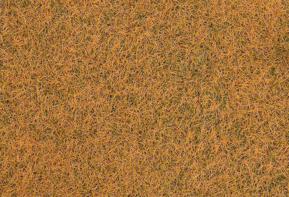 4104090702359 - Streufasern Wildgras verdorrt 4 mm (80 g)