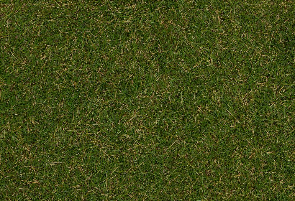 4104090702571 - Streufasern Wildgras Sommerwiese 4 mm (1000 g) 4104090702571 - Streufasern Wildgras Sommerwiese 4 mm (1000 g)