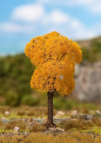 1 PREMIUM Esche, Herbstlaub