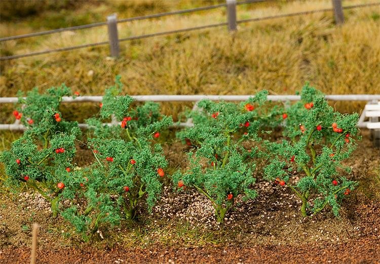 4104090812591 - H0 (187) 181259 - 18 Tomatenpflanzen 4104090812591 - H0 (187) 181259 - 18 Tomatenpflanzen