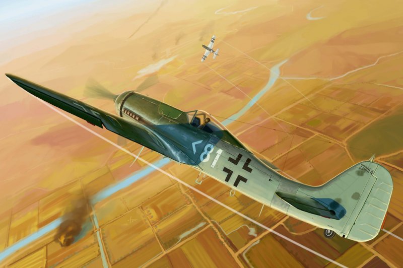 FW 190 günstig Kaufen-Focke-Wulf Fw 190 D-11. Focke-Wulf Fw 190 D-11 <![CDATA[HobbyBoss / 81718 / 1:48]]>. 