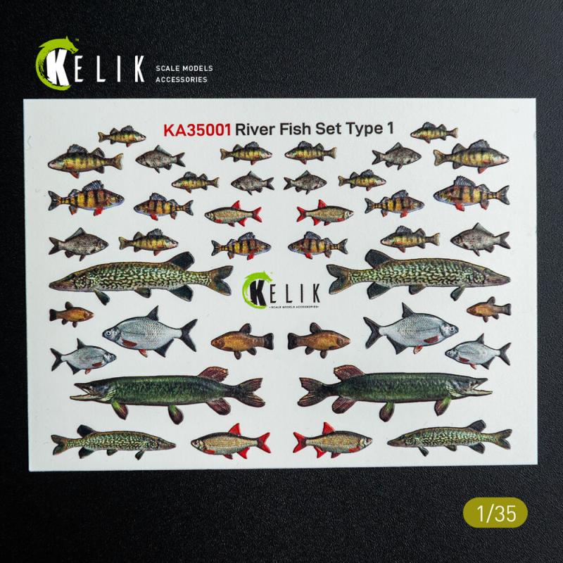 River Fish set Type 1 – 3D-Decals for dioramas