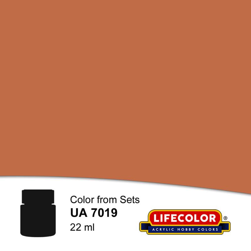 8056598037081 - Light African Tone 22 ml