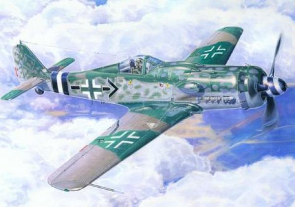 CKE 72 günstig Kaufen-Focke-Wulf Fw 190 D-9 Michaelski. Focke-Wulf Fw 190 D-9 Michaelski <![CDATA[Mistercraft / C-09 / 1:72]]>. 