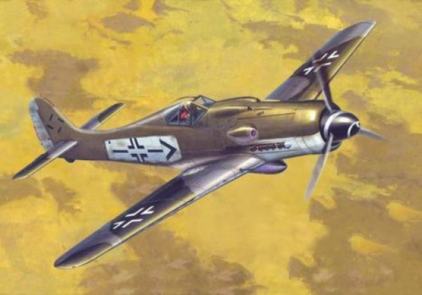 Fw 190 günstig Kaufen-Focke-Wulf Fw 190 D-9 Rudel. Focke-Wulf Fw 190 D-9 Rudel <![CDATA[Mistercraft / C-10 / 1:72]]>. 