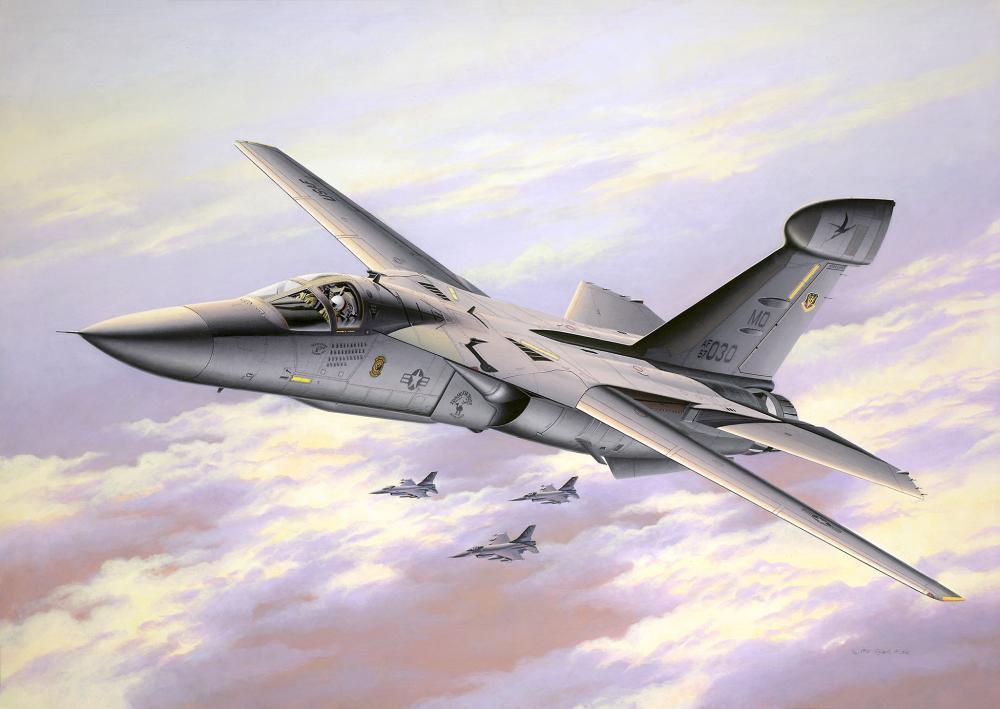 Model Set - EF-111A Raven