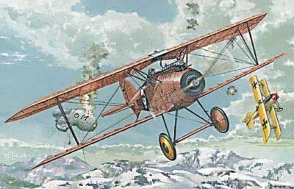 Albatros günstig Kaufen-Albatros D.III Oeffag s.153(early). Albatros D.III Oeffag s.153(early) <![CDATA[Roden / 024 / 1:72]]>. 