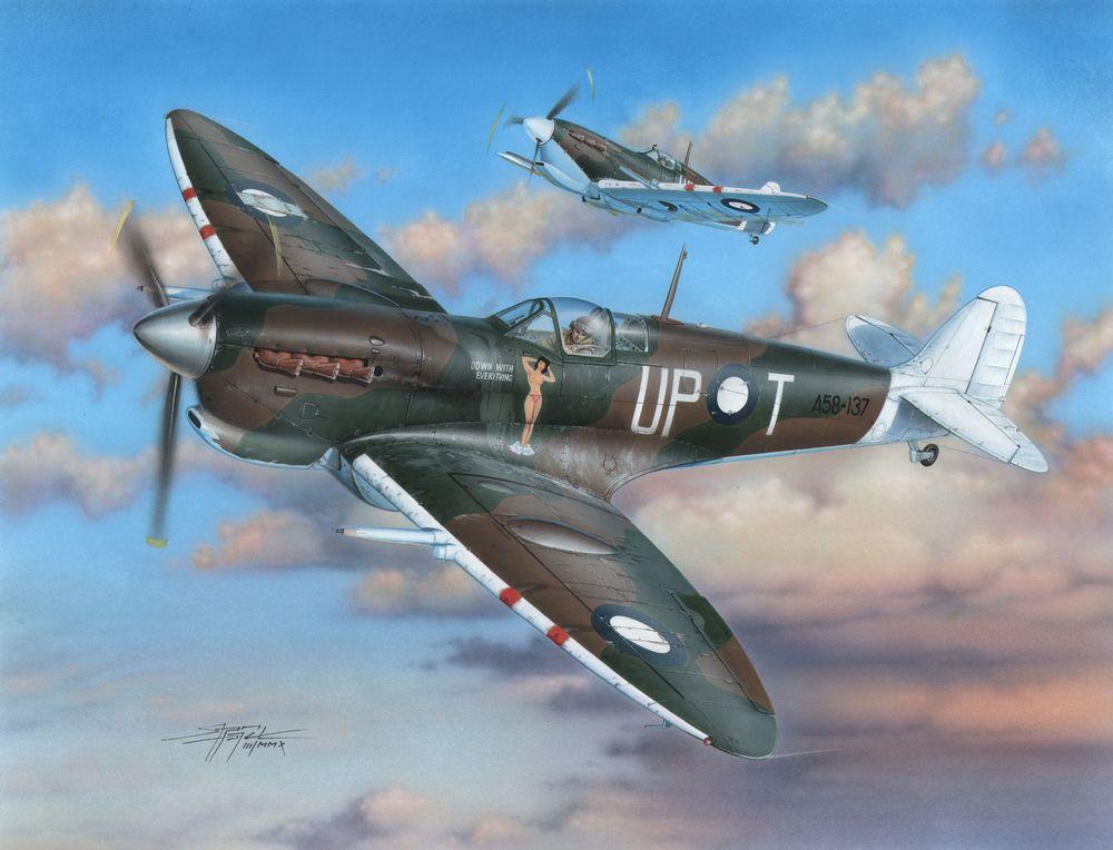 Spitfire F günstig Kaufen-Spitfire Mk.VC RAAF Service. Spitfire Mk.VC RAAF Service <![CDATA[Special Hobby / SH48100 / 1:48]]>. 
