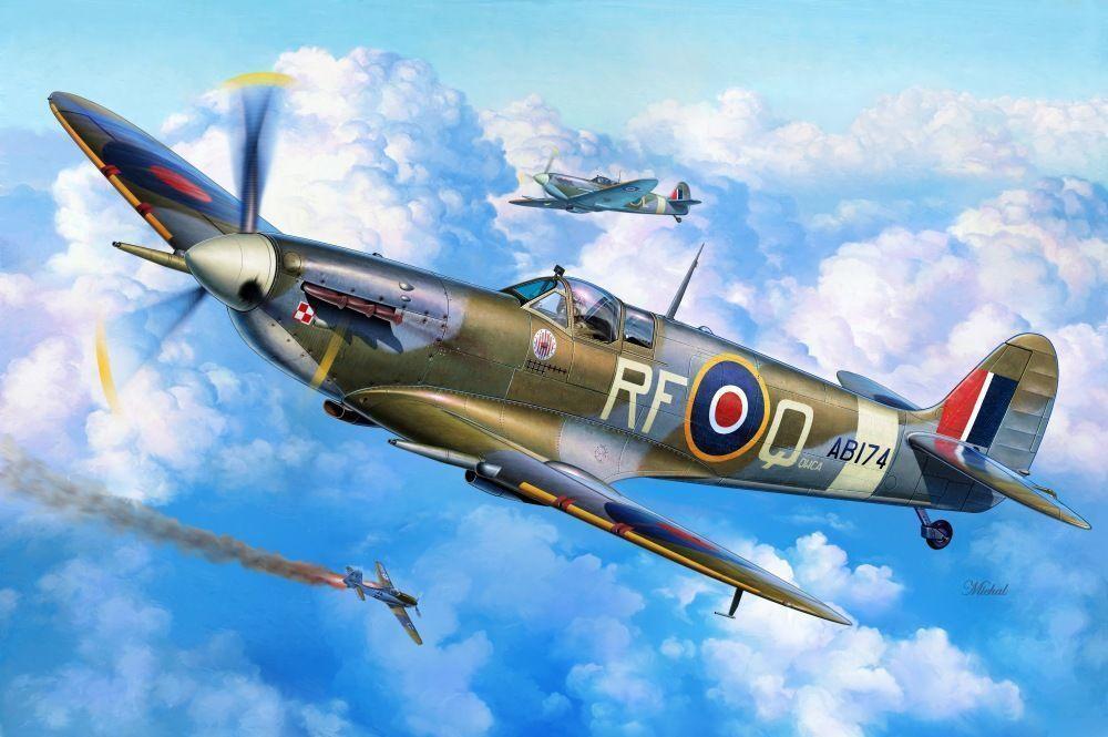 SH 100 günstig Kaufen-Supermarine Spitfire Mk.VC Overseas Jockeys. Supermarine Spitfire Mk.VC Overseas Jockeys <![CDATA[Special Hobby / 100-SH48195 / 1:48]]>. 