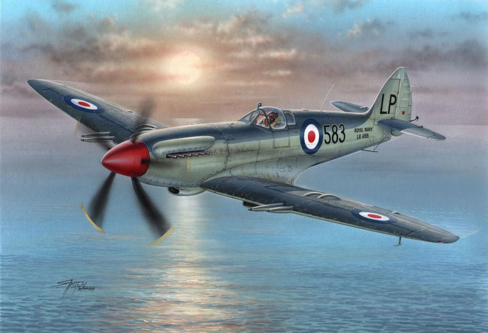 Fire 7 günstig Kaufen-Supermarine Seafire Mk.45. Supermarine Seafire Mk.45 <![CDATA[Special Hobby / SH72229 / 1:72]]>. 