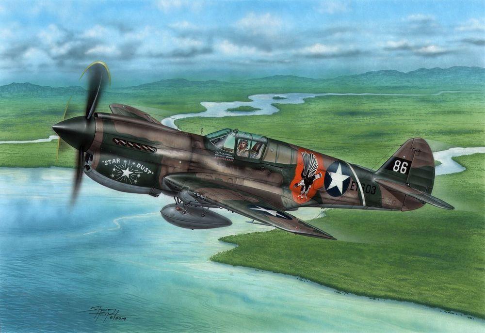 P-40E Warhawk - Claws and Teeth